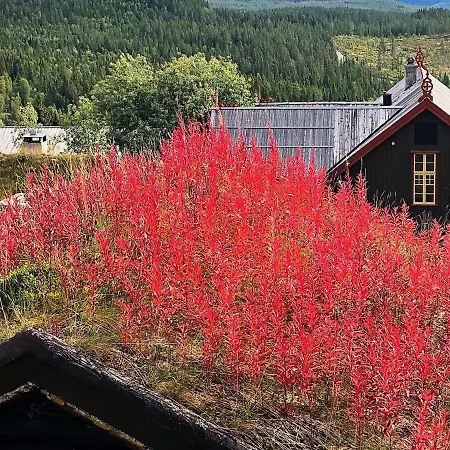 Apartment Hemsedal 公寓